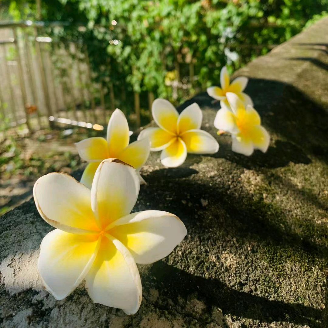 东北手擀面官方号