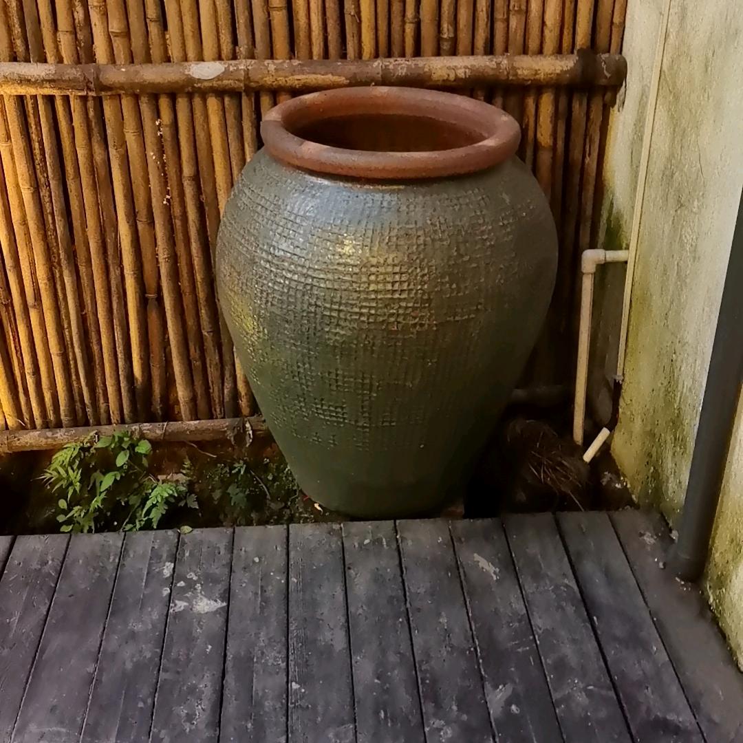 流浪的灵魂