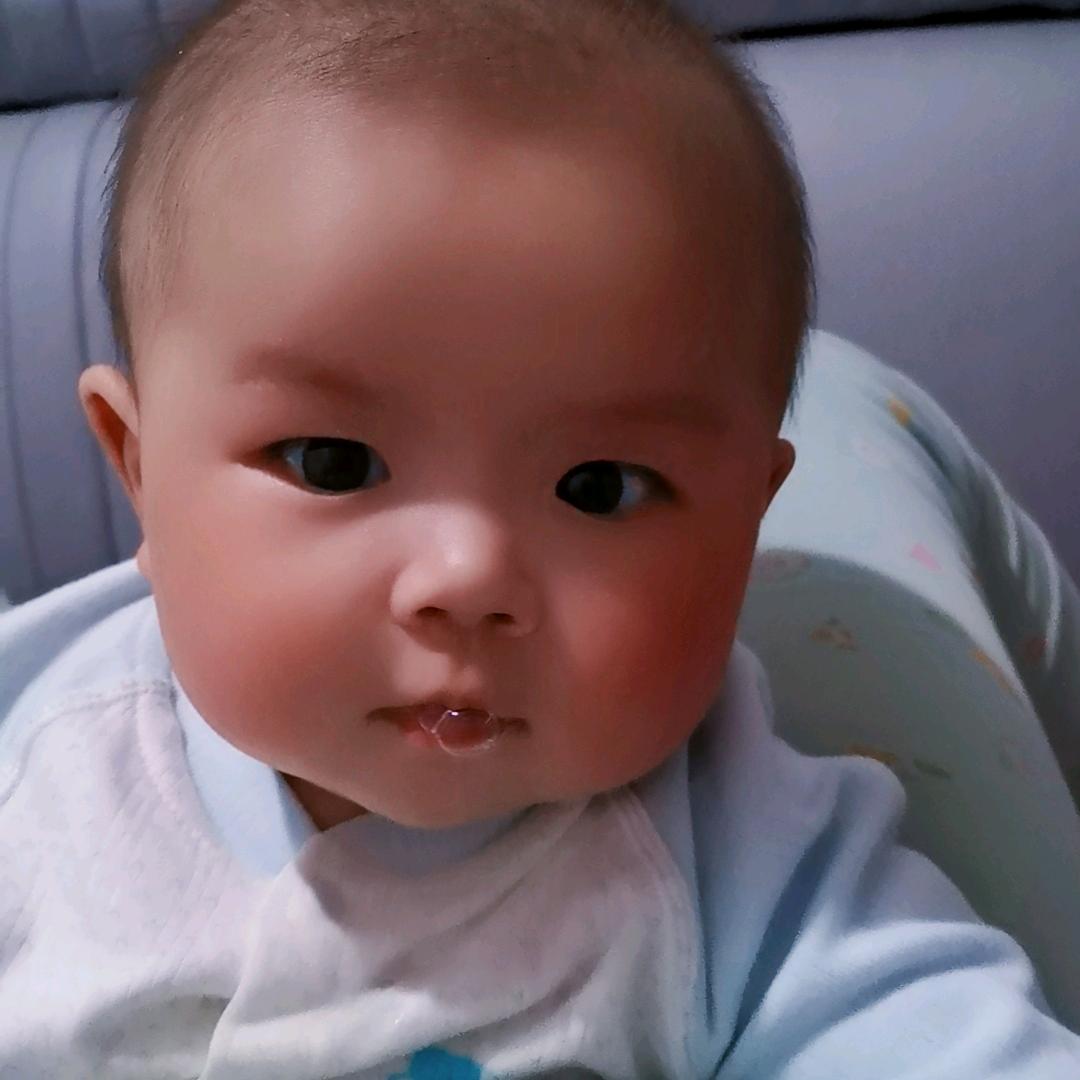 豹，，哥