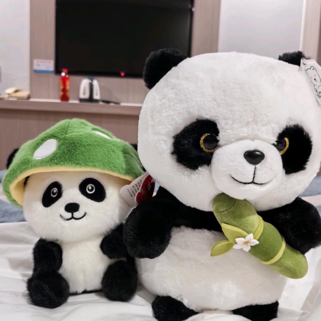 言子萌萌哒
