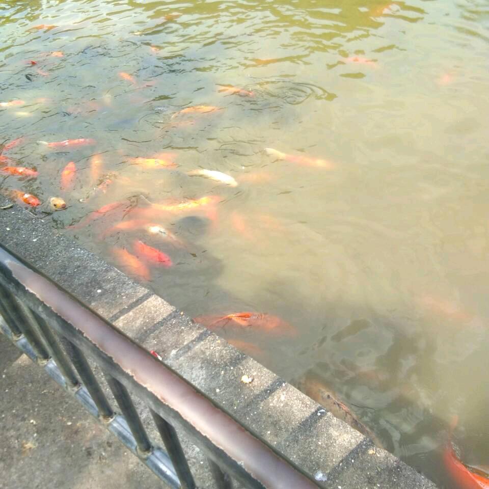 @顺顺旺旺