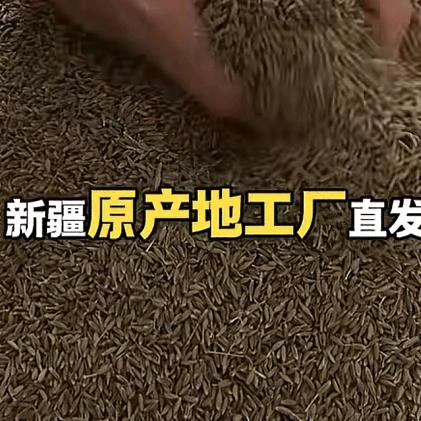 刘惊奇