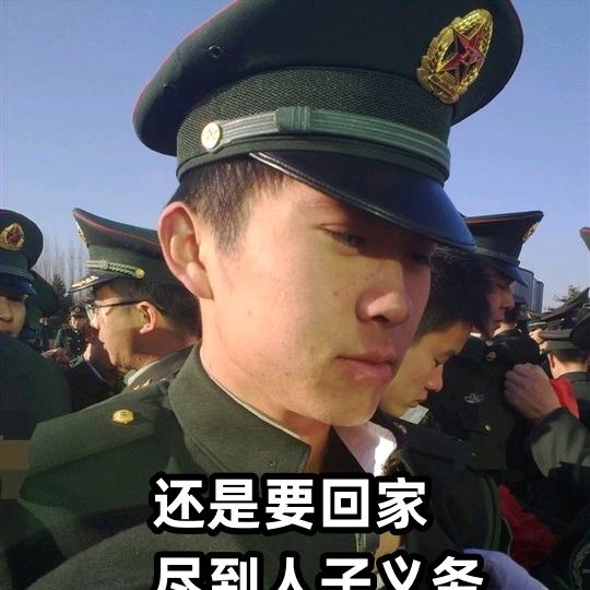 帅帅【华系野生销售】
