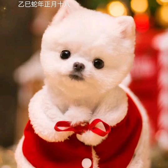 优优代淘
