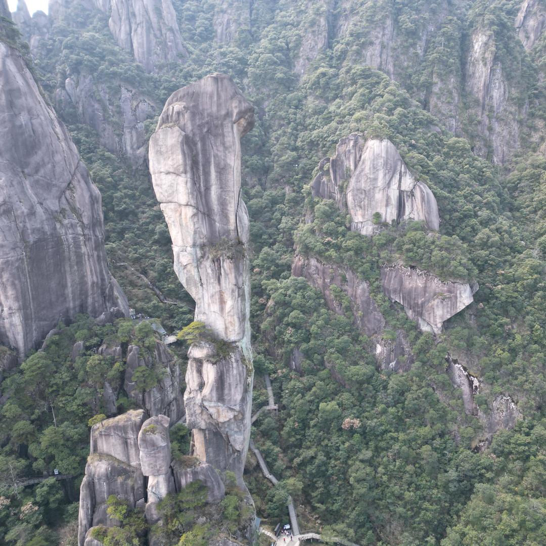 叫我强哥