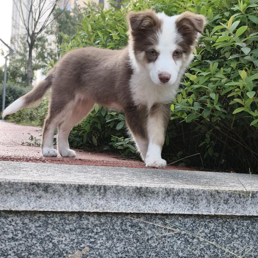 十一次方的可乐&汉堡