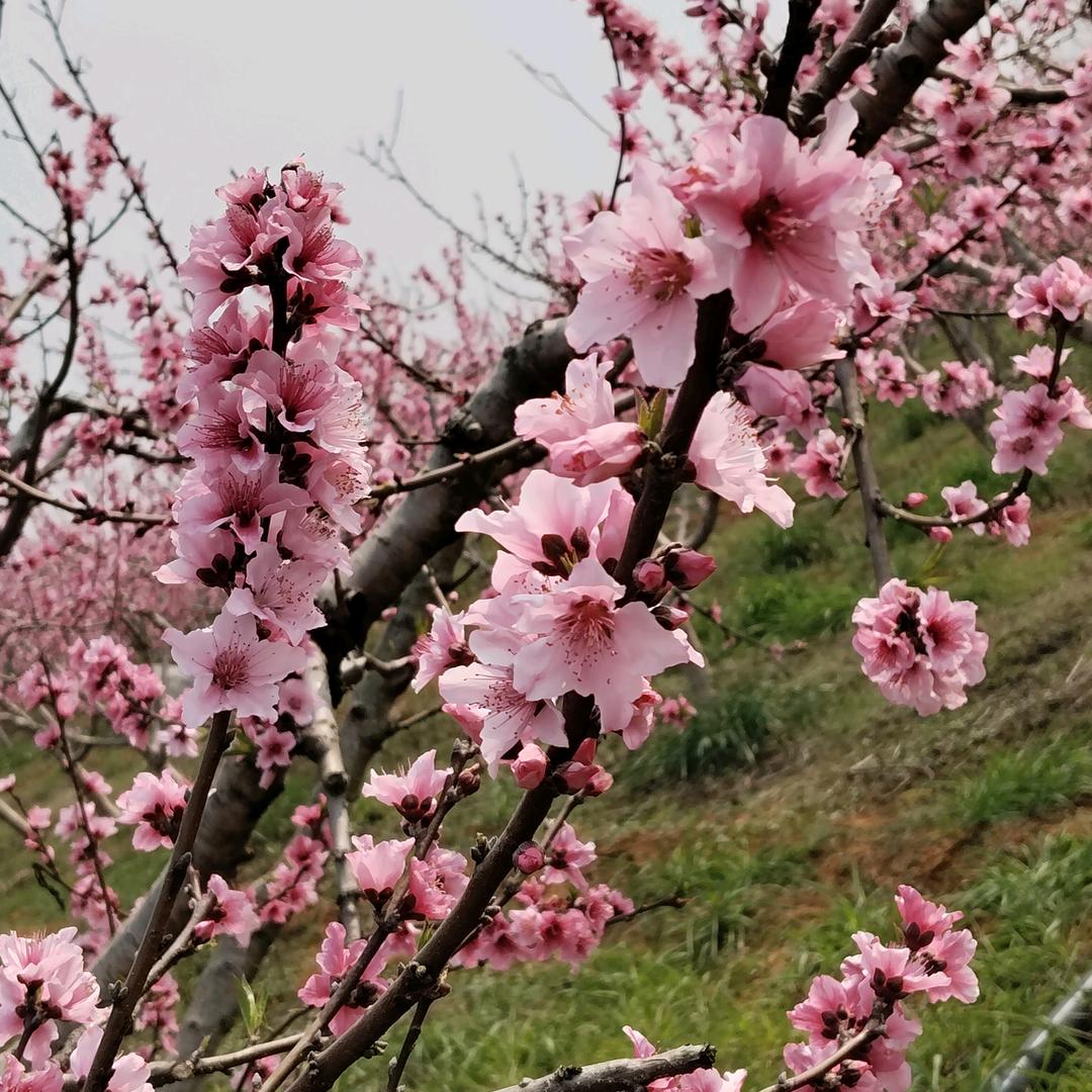 生活加点🍭唐