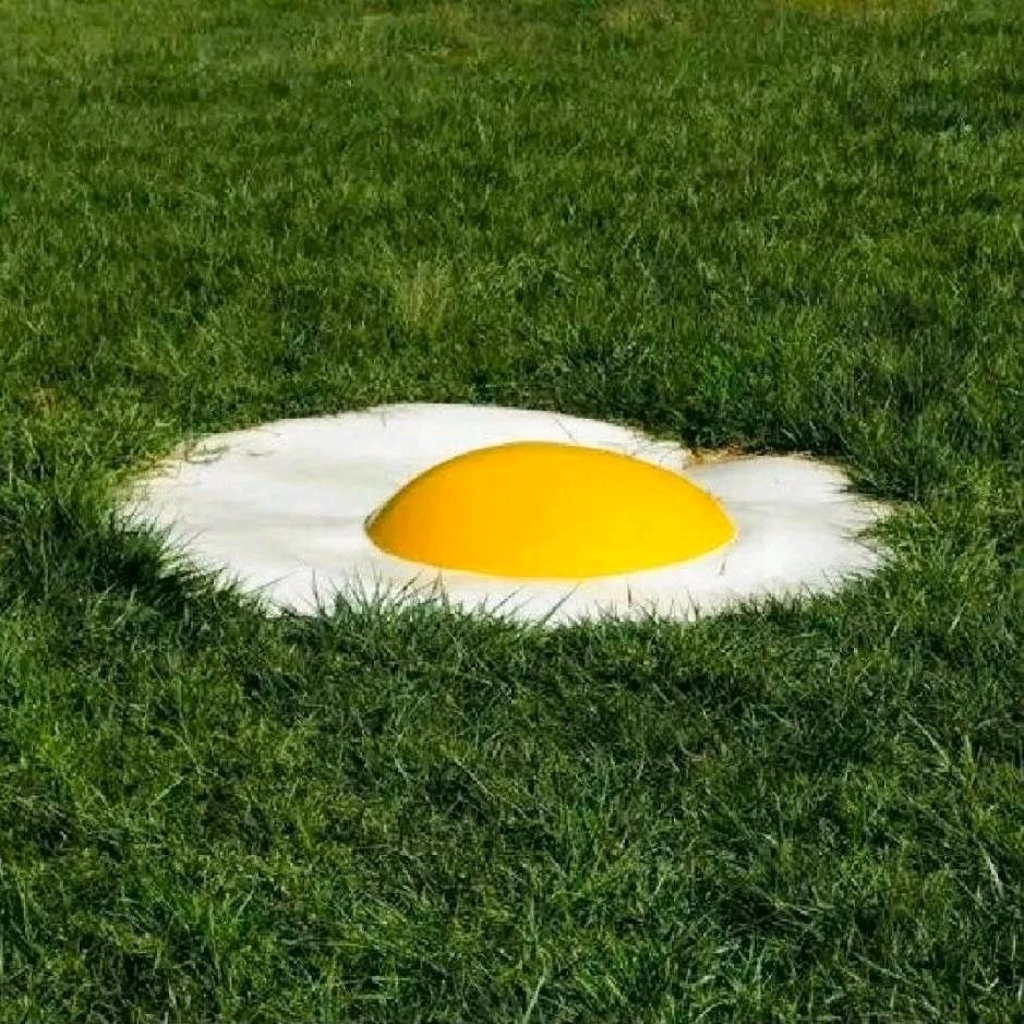 多多舅