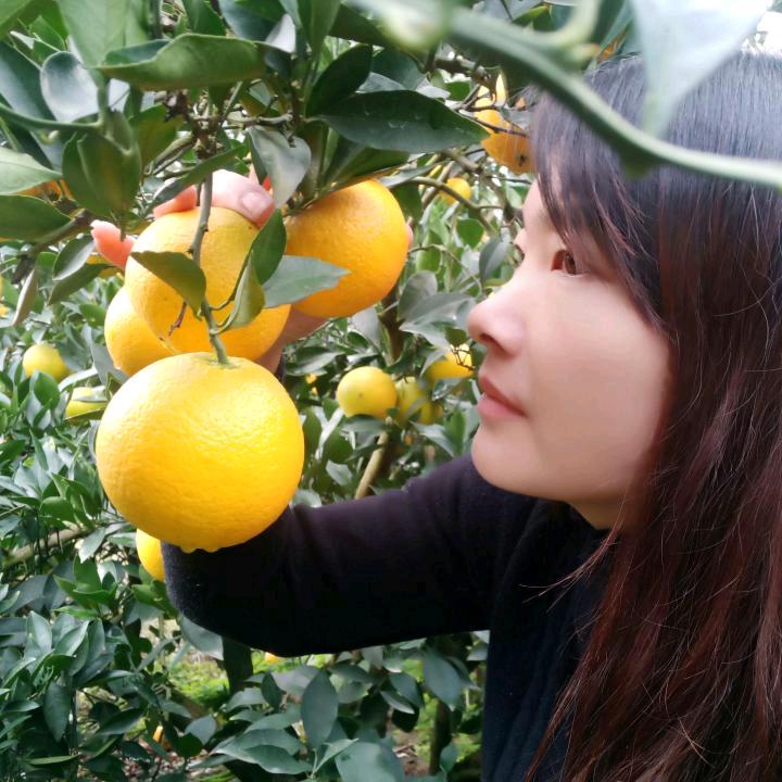 橙秭姐