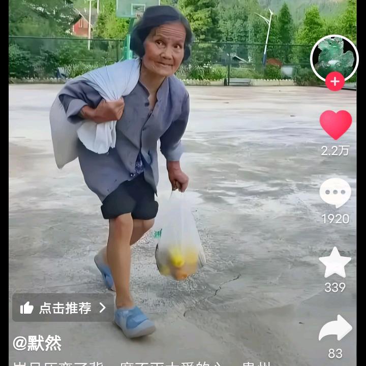繁花落叶