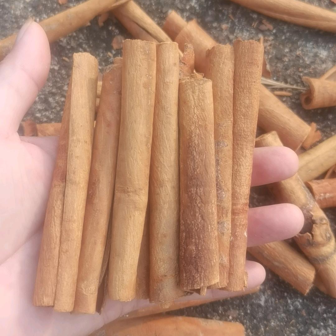 仟顺桂乡
