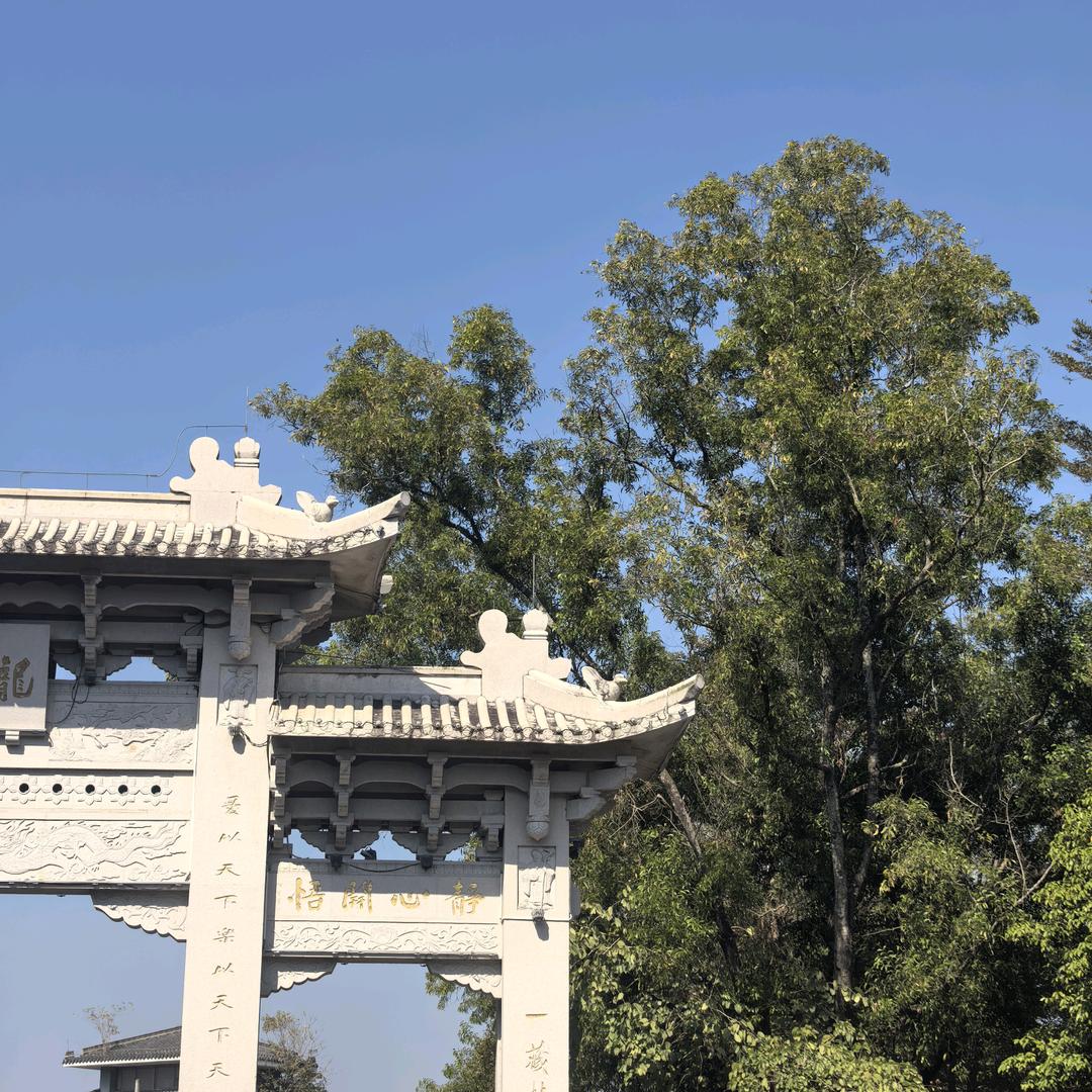 潼涯
