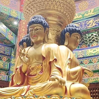 客汤刘哥