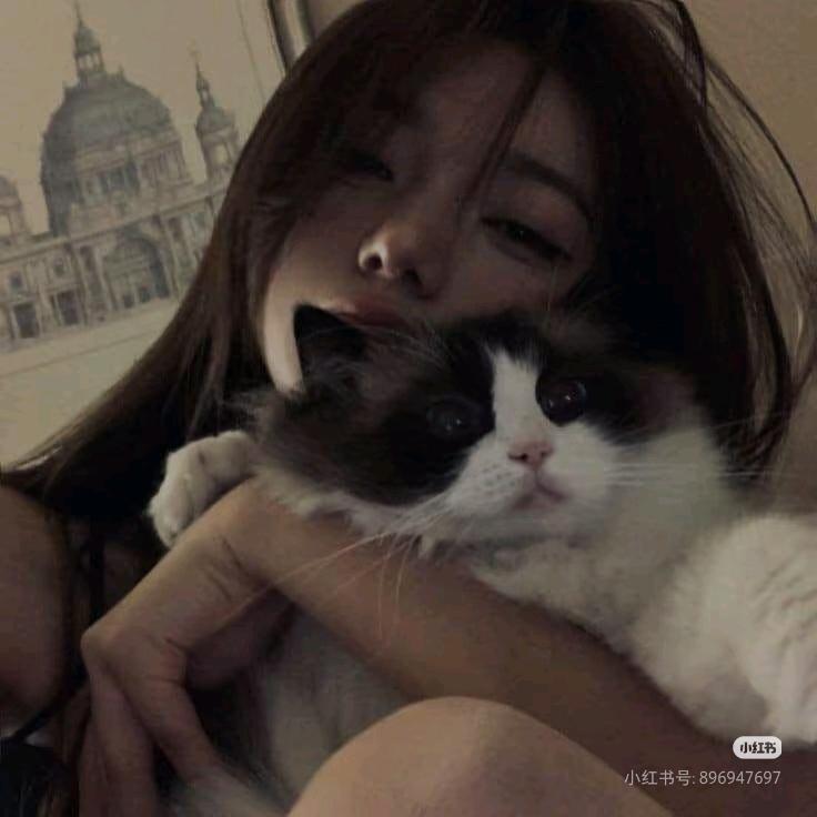 涵宇🐰