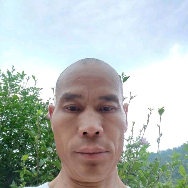 用户52541544