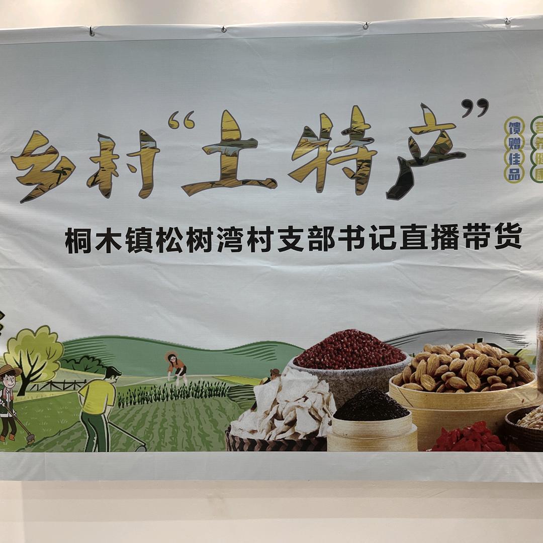 旬阳市桐木镇松树湾村支书助农