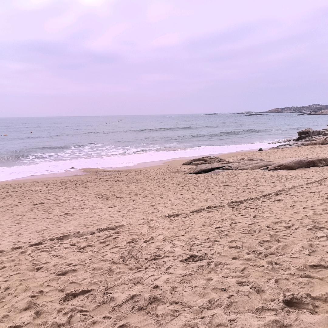 一颗红❤️永向党