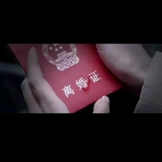随心远航