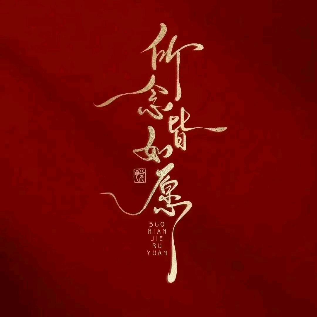老贵🌟