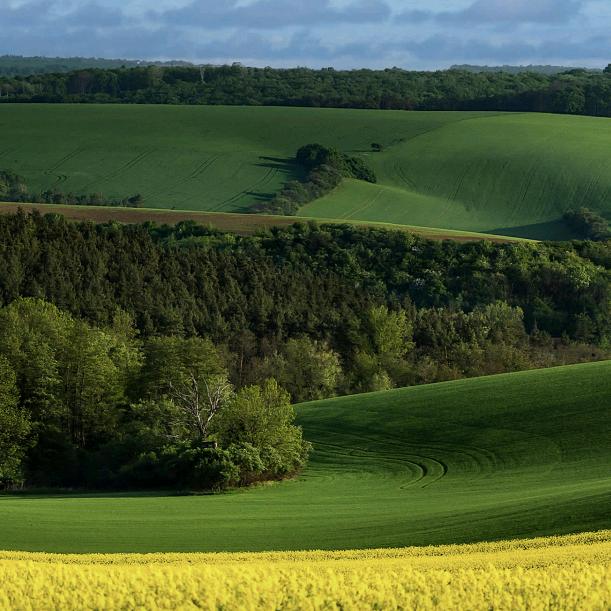 好好珍惜眼前人