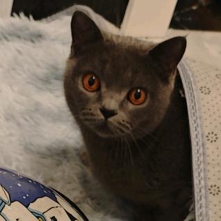 女人没有好东西