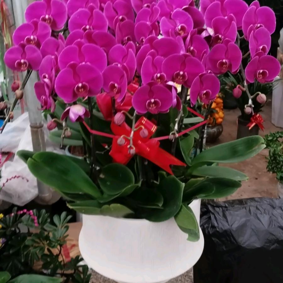 花店