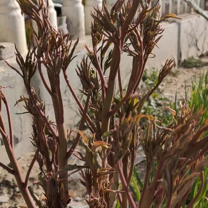 时间请你慢一点