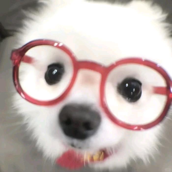 不灵不灵