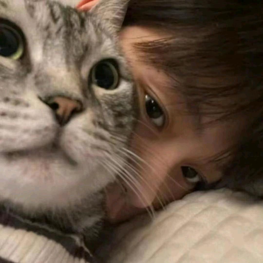 董季荷（无畏契约手游）