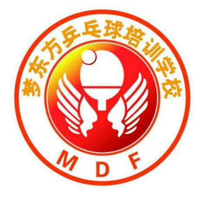 高平市梦东方乒乓球俱乐部