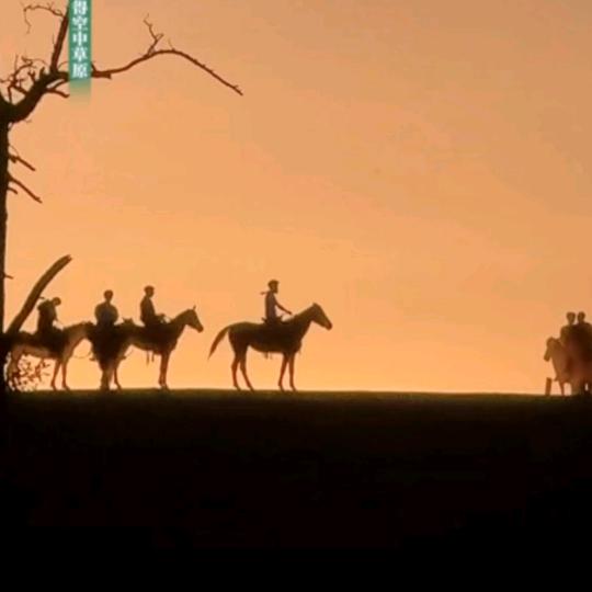 许你笑颜如花🌸