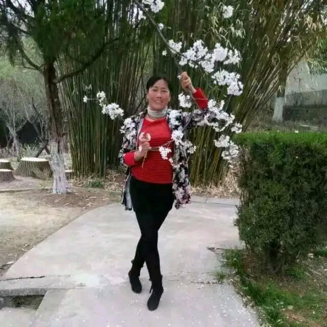 梅姐