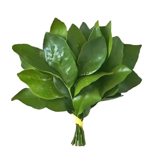 看见我请提醒我喝水