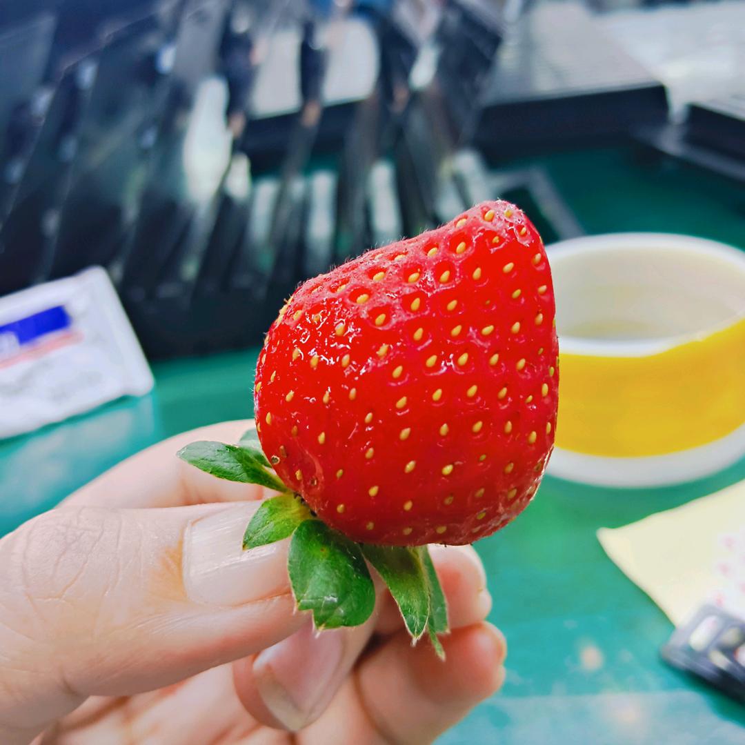 繁星✨️✨️点点