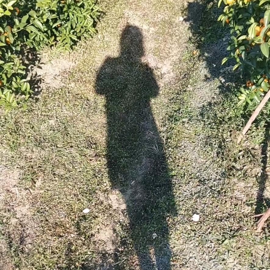 做自己的太阳🌞