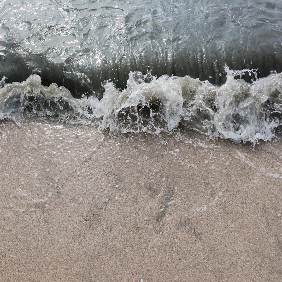 哇哈哈哈哈哈哈哈哈