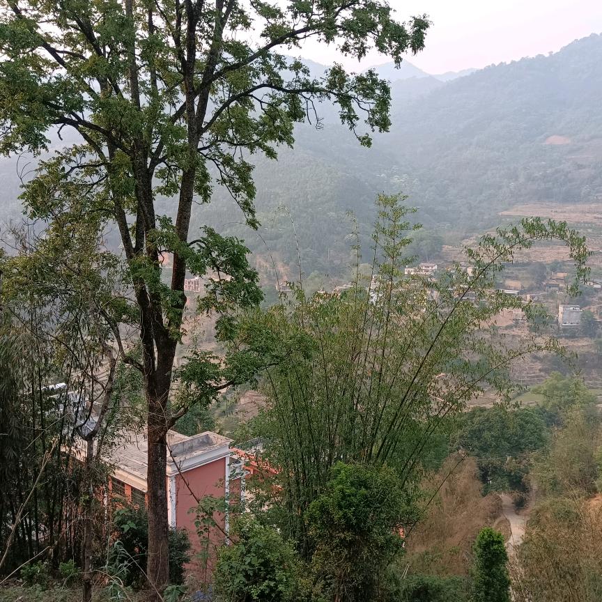 事事如意！✌✌