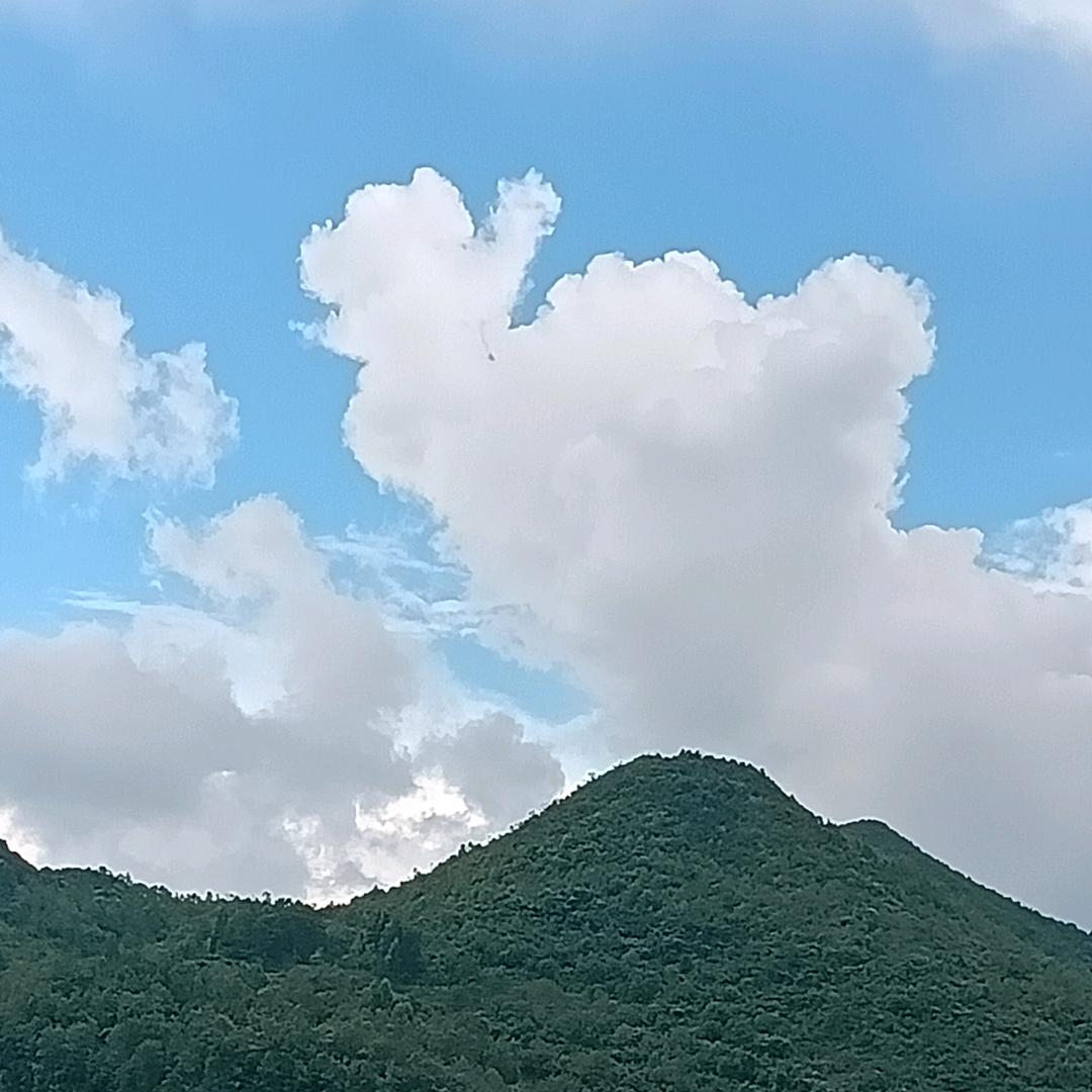 *:ஐ٩(善良不是笨)۶ஐ:*