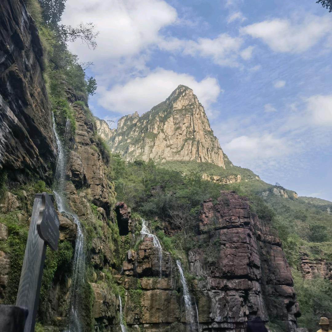黎鸣