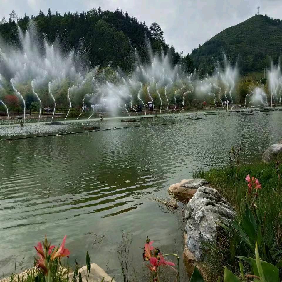 是福不是祸，是祸躲不过