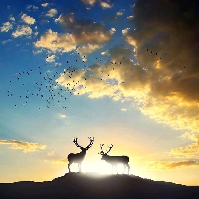 向钱看，向厚赚