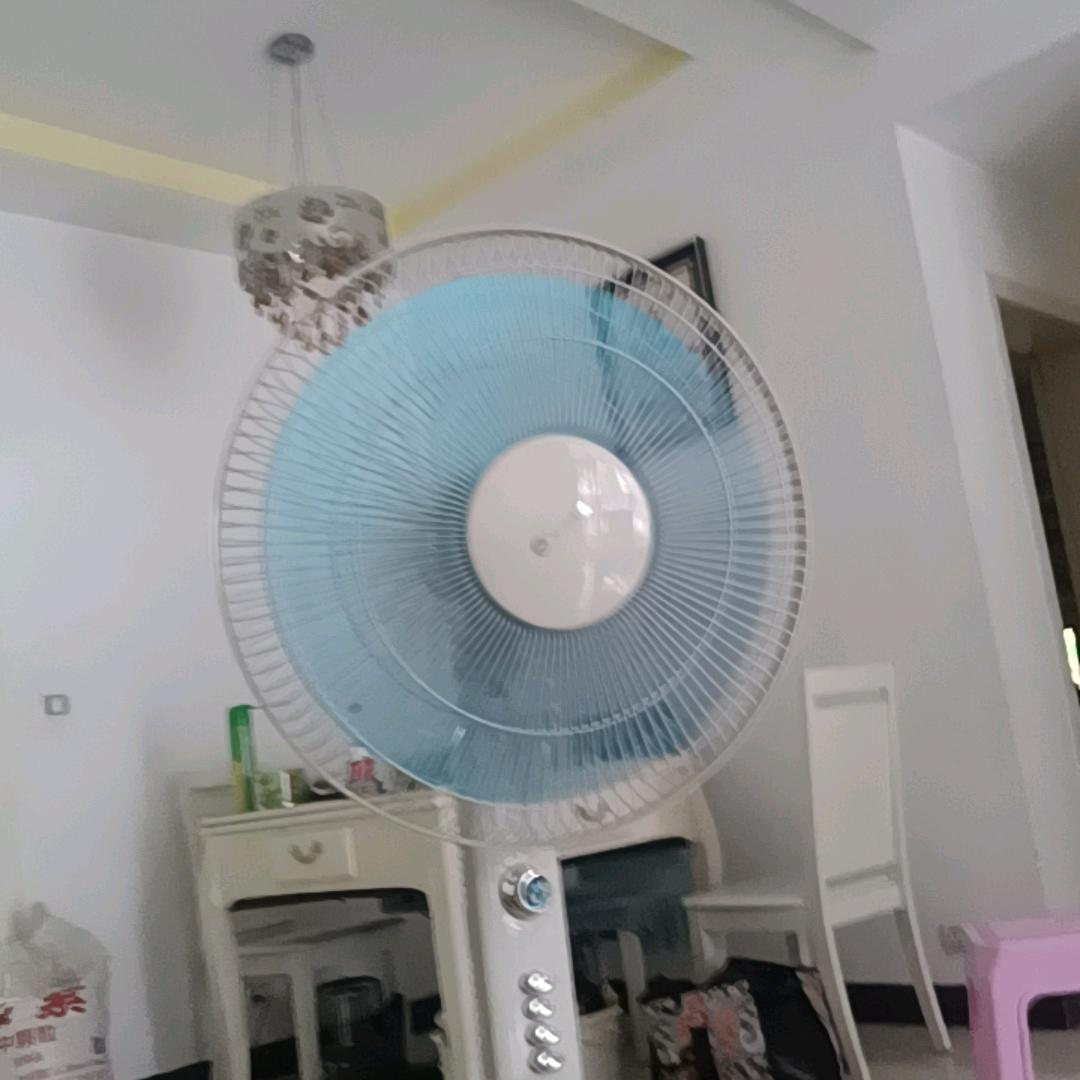 专业管孩子