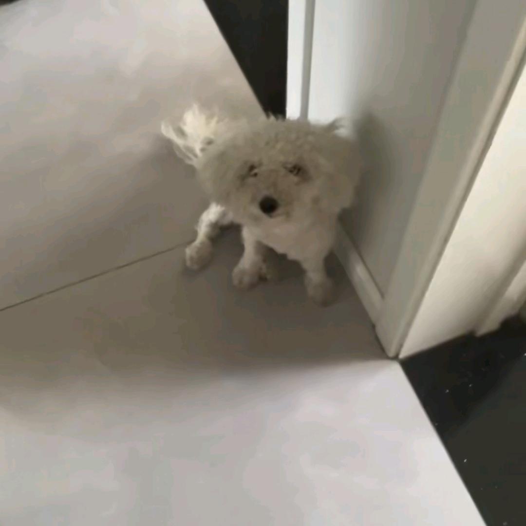 YiＹｉ