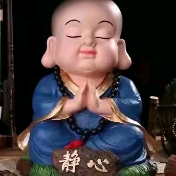 天天努力学习