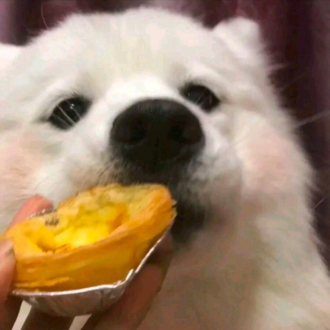 千千小刘