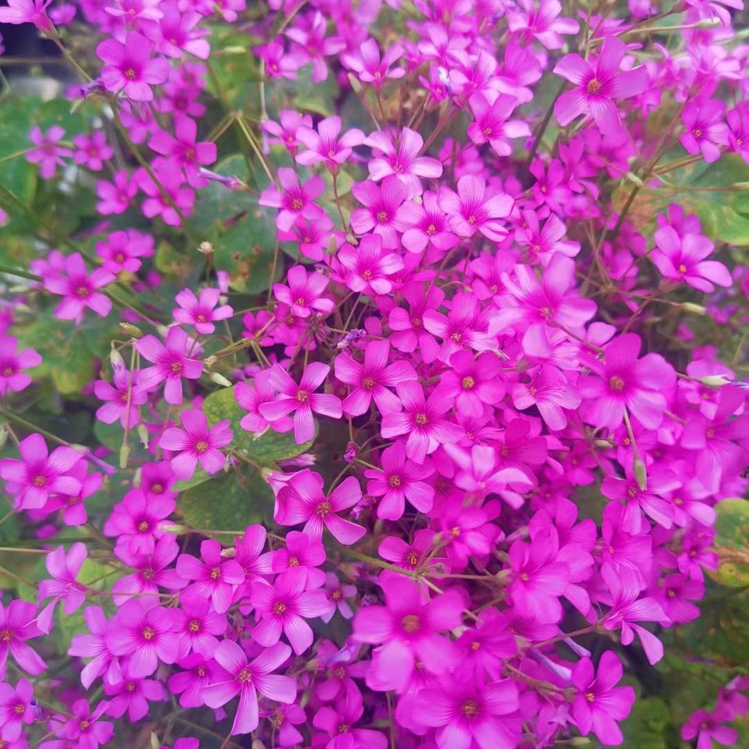 默默的等