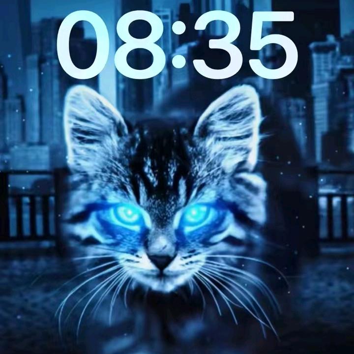 喝咖啡的猫