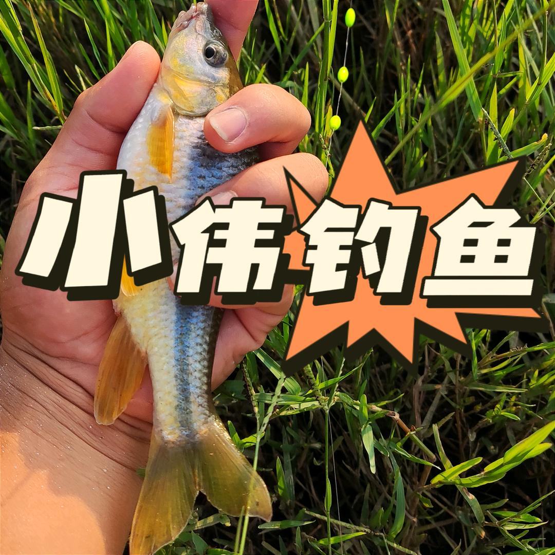 小伟钓鱼