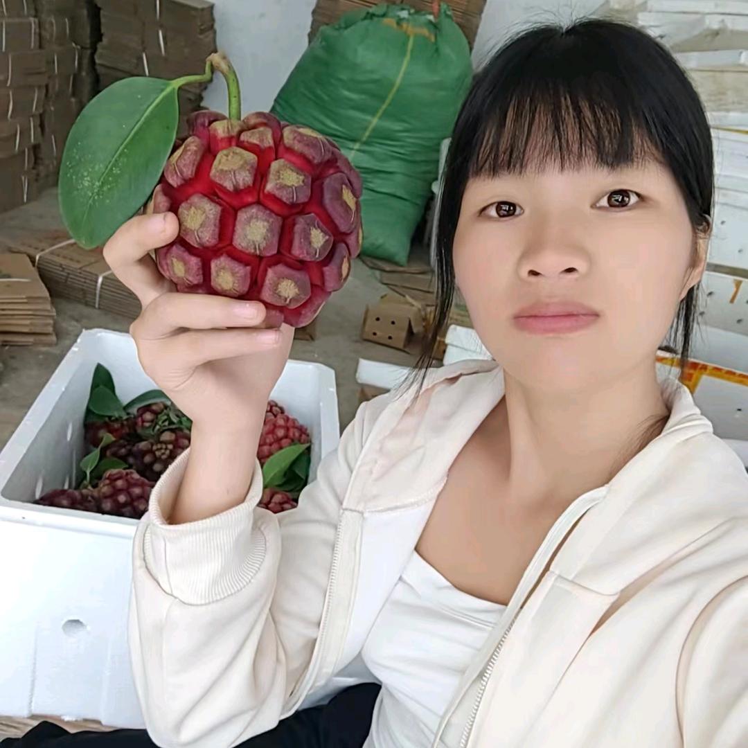 果乐鲜果蔬的头像