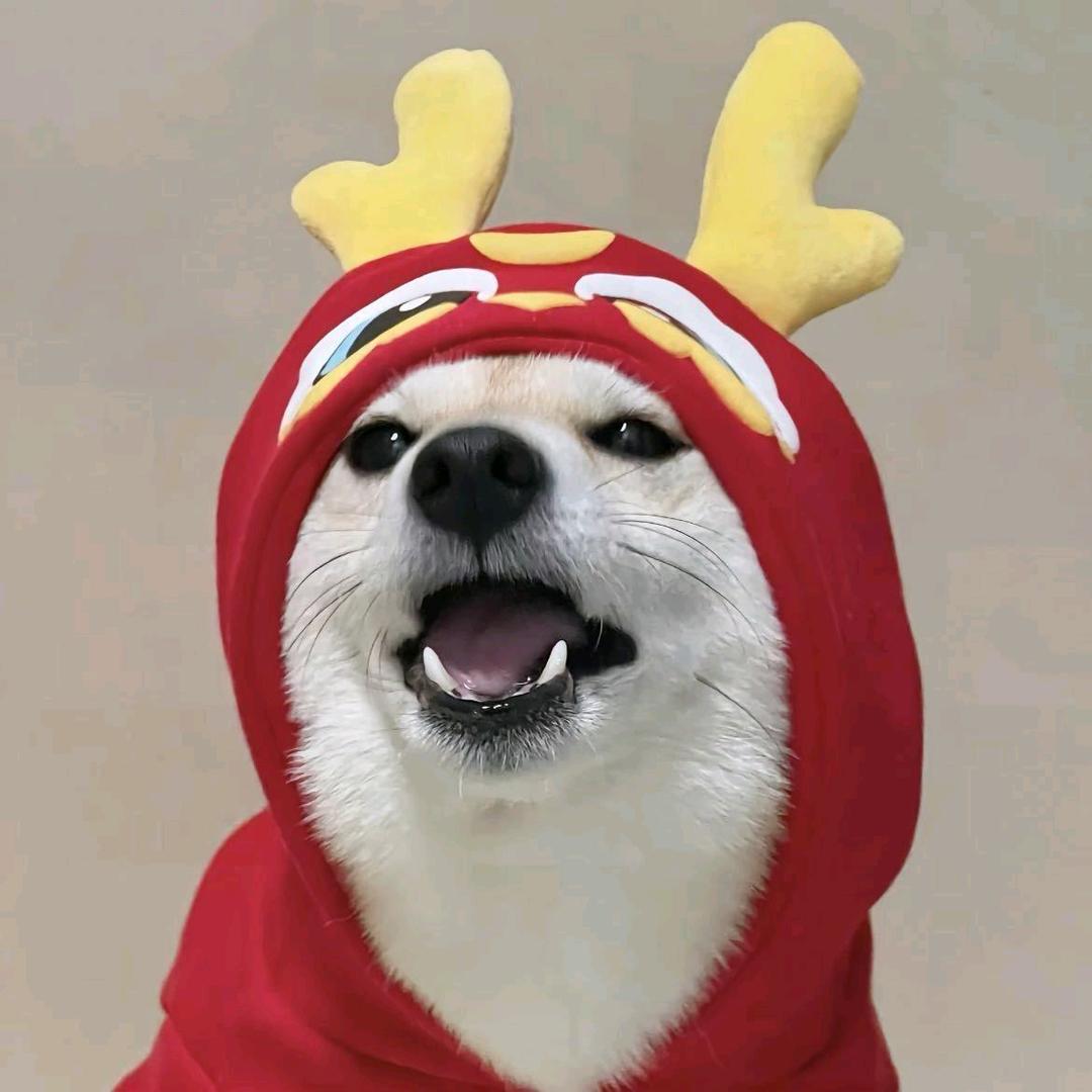 森衣